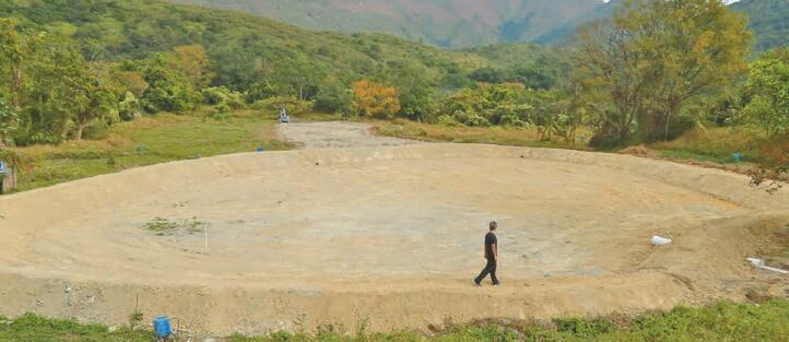 保育沙螺洞 油菜花田變生態(tài)池塘