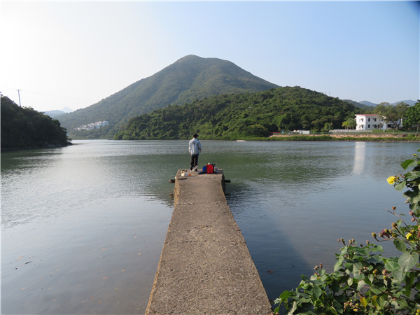 曝罟灣隱世魚(yú)塘滌慮忘憂