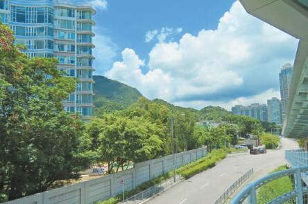 樟木頭村綠化地建公屋惹爭(zhēng)議