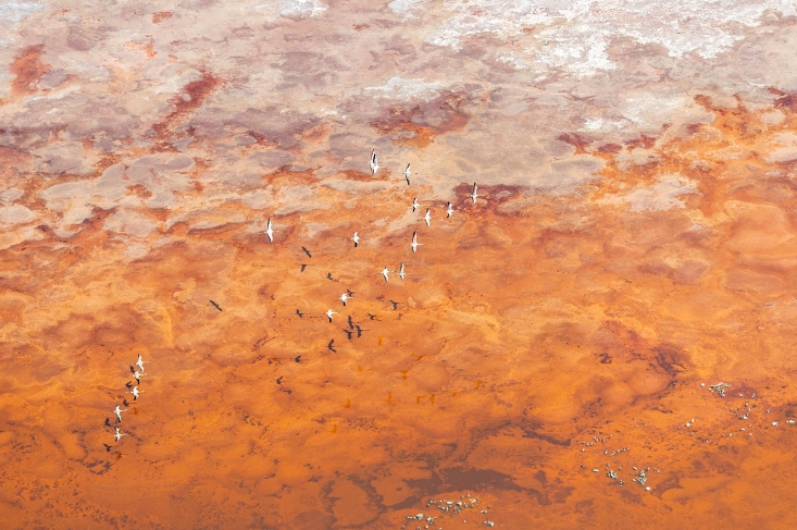 航拍飛鳥 攝影家?guī)惆肯璺侵? title=