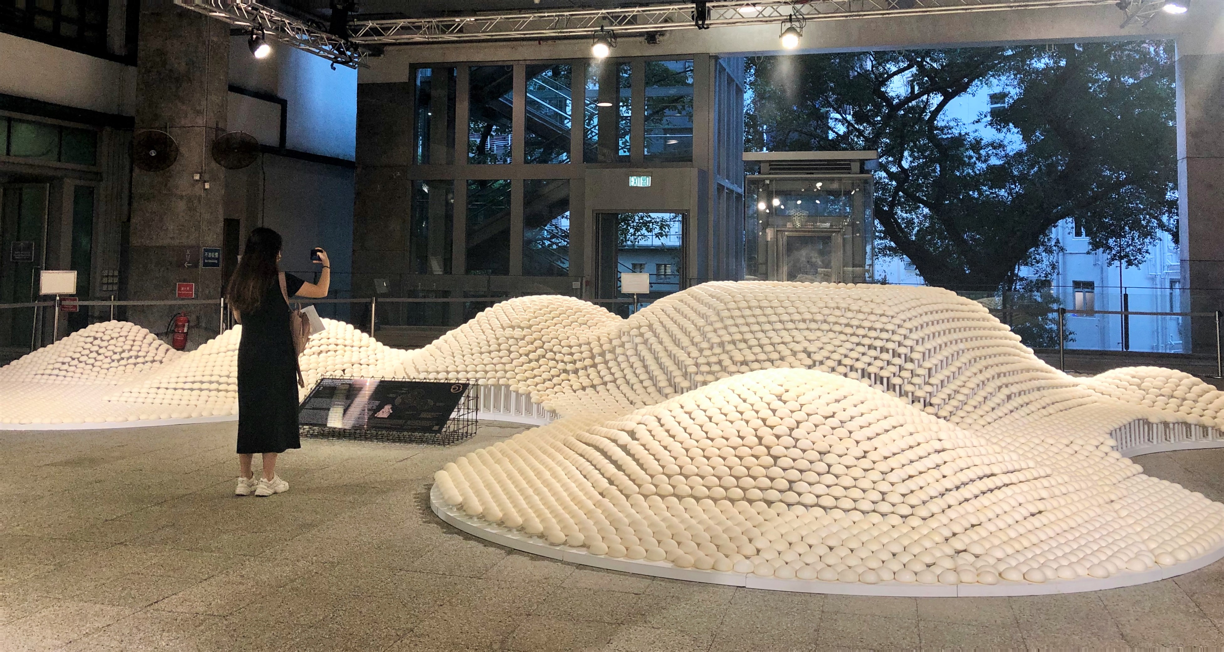 有片 | 穿梭香港的過去現(xiàn)在與未來