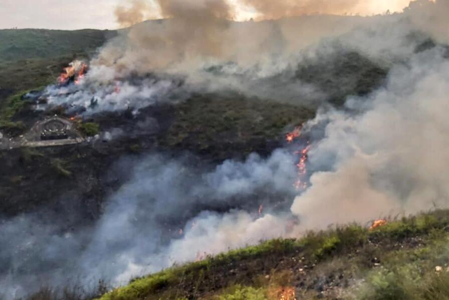 重陽節(jié)市民祭祖疑留火種 各區(qū)錄得最少73宗山火