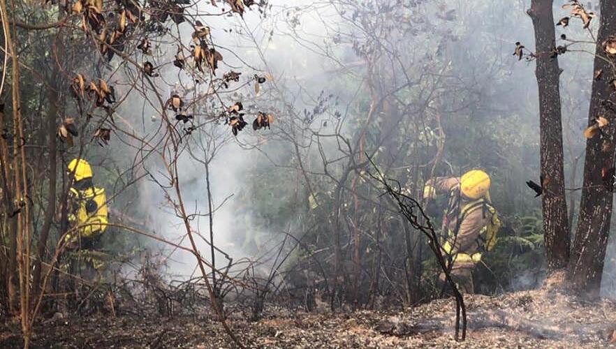 【持續(xù)更新】截至下午5時 消防處接獲18宗山火報告
