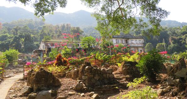 鄉(xiāng)郊保育撥1500萬活化生態(tài) 梅子林蛤塘村復(fù)興在望