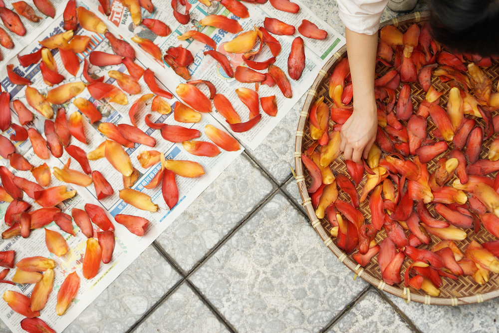 【周末好去處】展覽細(xì)賞木棉花