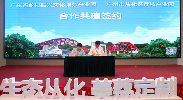 廣州從化啟動(dòng)2021荔枝定製