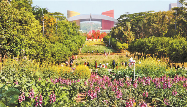 數(shù)讀報告｜深圳UP UP