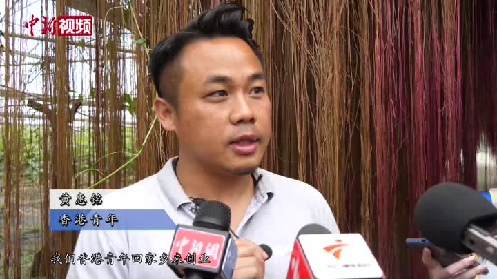 【擁抱大灣區(qū)】香港青年大灣區(qū)開(kāi)農(nóng)場(chǎng)：新農(nóng)業(yè)也有大未來(lái)