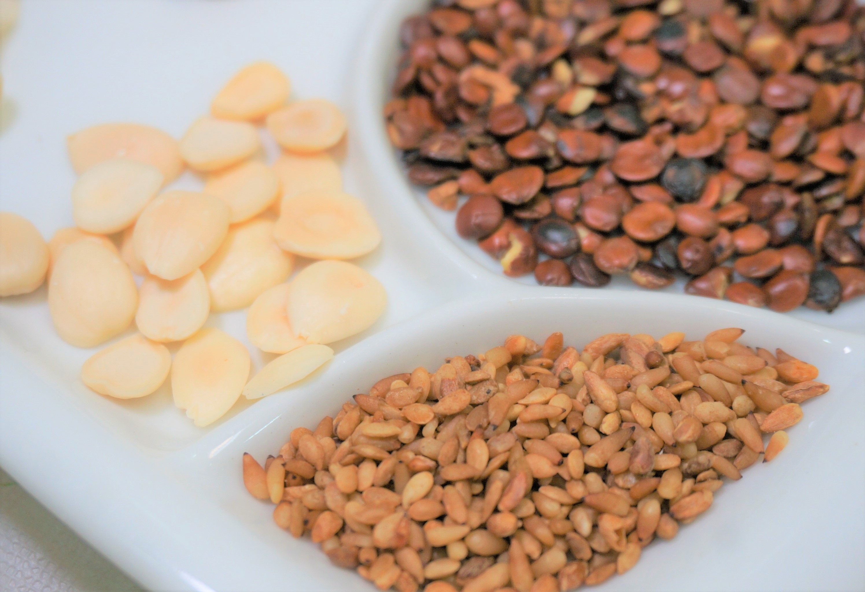 【健康】寒露養(yǎng)生 養(yǎng)陰防燥 潤肺益胃