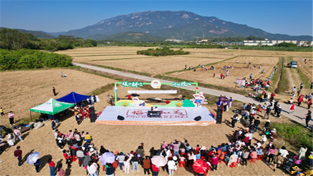 博羅舉辦稻田音樂歡樂派對(duì)