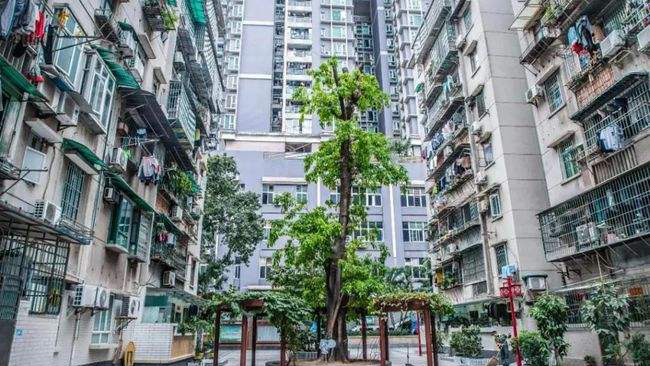 廣東去年開工改造超1500個老舊小區(qū) 惠約31萬戶居民