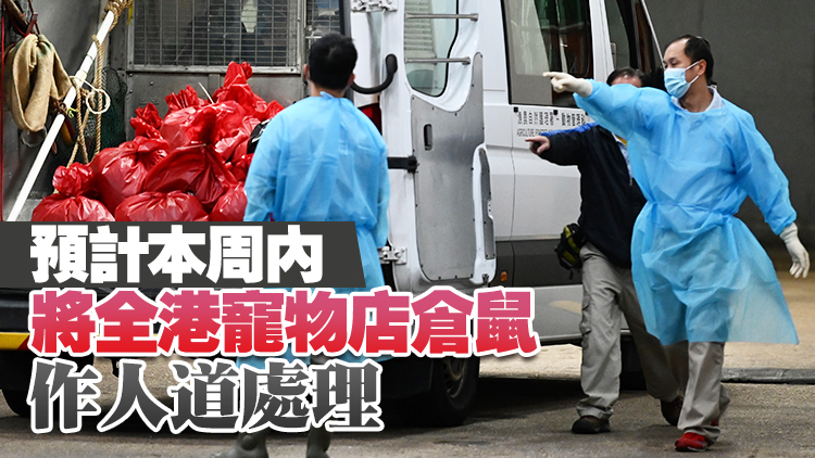 漁護(hù)署19日人道處理Little Boss寵物店大埔倉庫內(nèi)逾千隻動(dòng)物