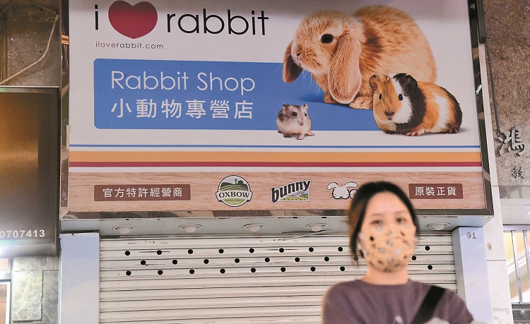 市民交出1倉鼠驗出陽性 2512隻小動物經(jīng)已人道處理
