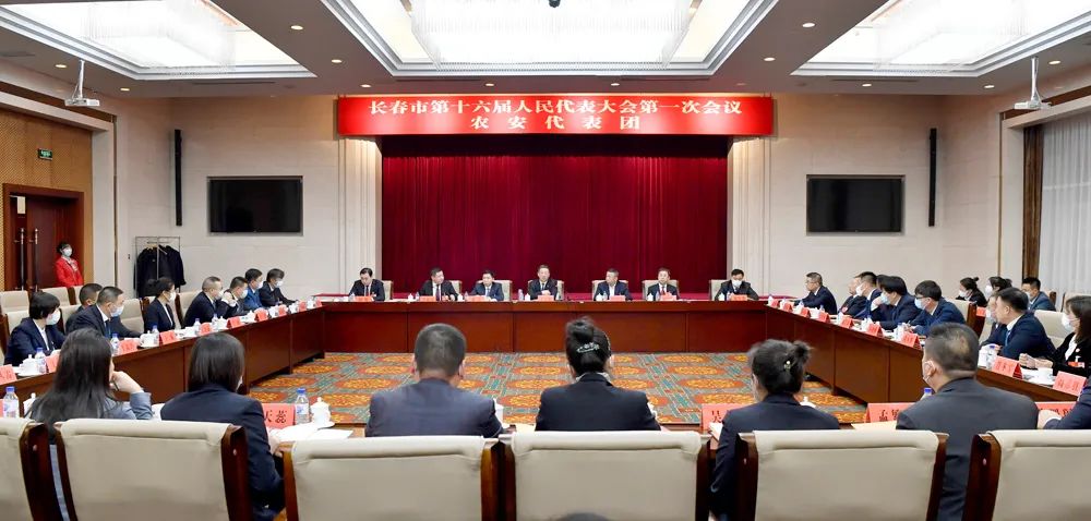 王子聯(lián)參加農(nóng)安代表團(tuán)分組審議：全力推進(jìn)縣域經(jīng)濟(jì)提檔升級(jí)