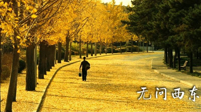 【散文】無(wú)問(wèn)西東