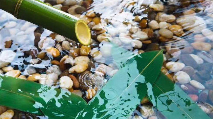 【讀書】貼地飛行，從南翔新著《伯爵貓》談開去