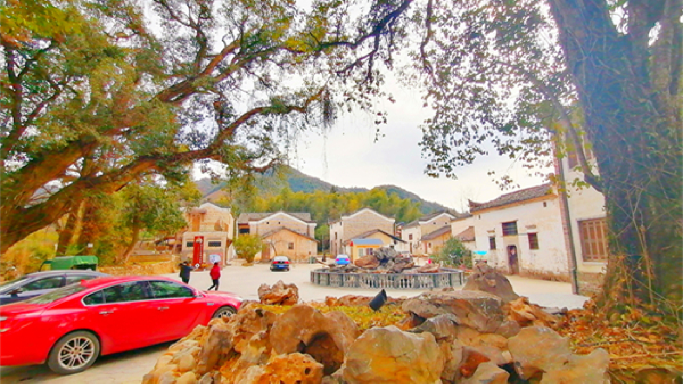 【康養(yǎng)中國】 皖祁門縣：“森林康養(yǎng)基地”呼之欲出