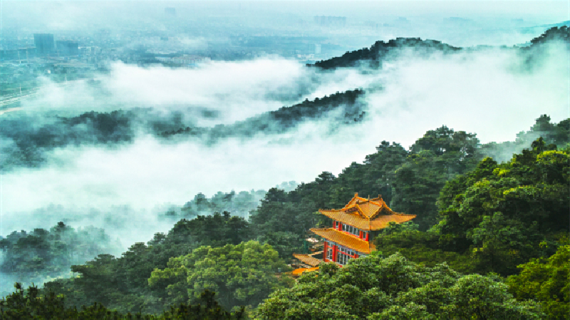 廣西貴港：加強(qiáng)與大灣區(qū)文化聯(lián)動(dòng)深化旅遊產(chǎn)業(yè)合作