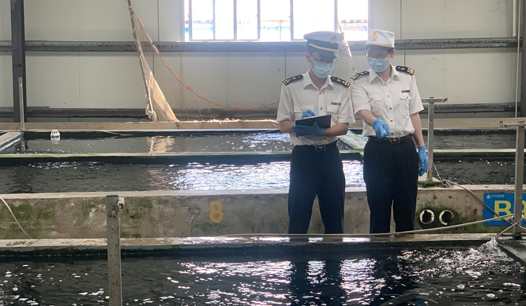 【擁抱大灣區(qū)】助力塑造健康灣區(qū)  廣州海關(guān)保障民生物資穩(wěn)定供港