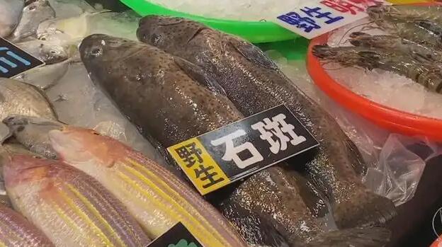 【海峽觀察】臺(tái)石斑魚銷陸被叫停不冤