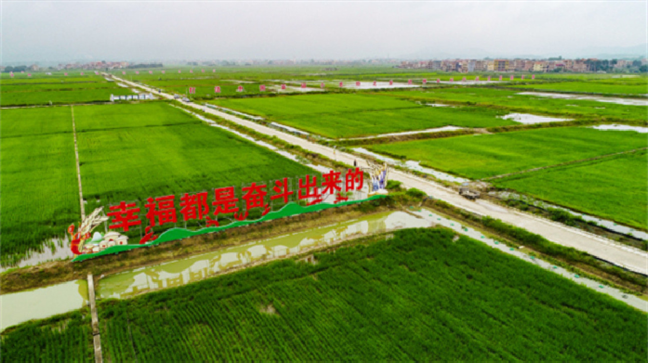 【康養(yǎng)中國】廣西貴港推稻蝦共作畝產(chǎn)值增7倍