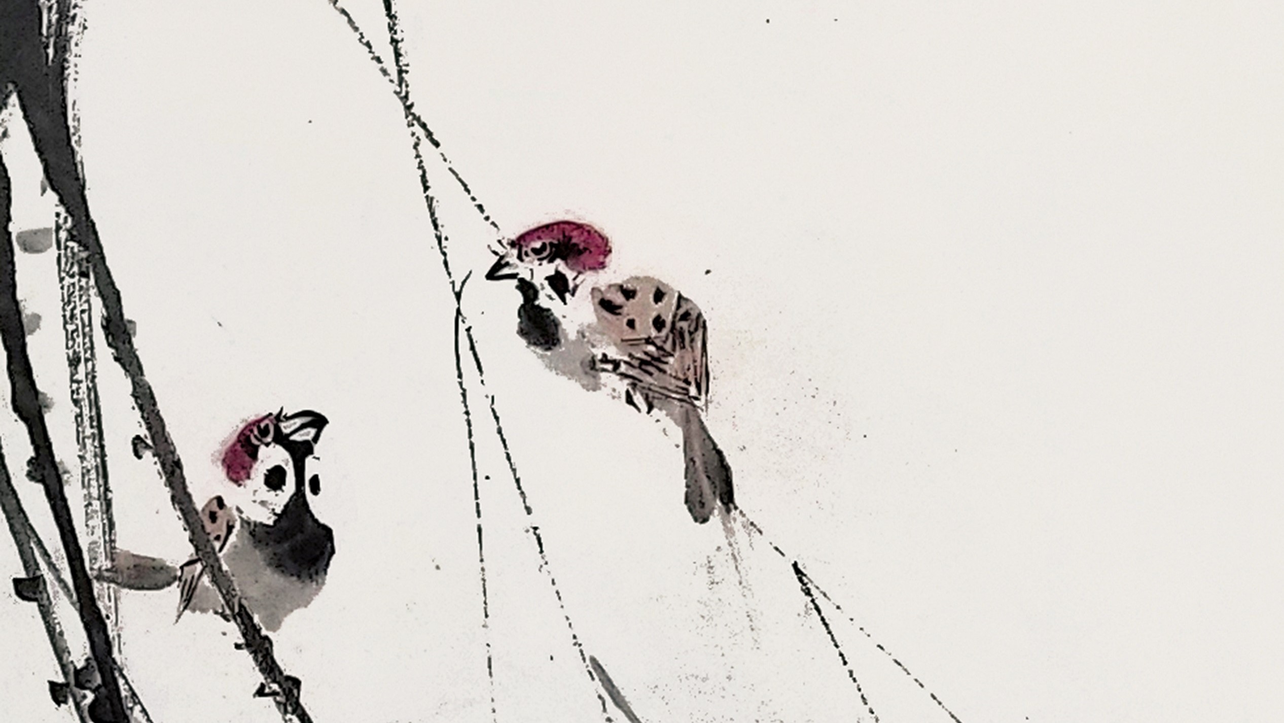 【收藏「琪」觀】柳雀報春