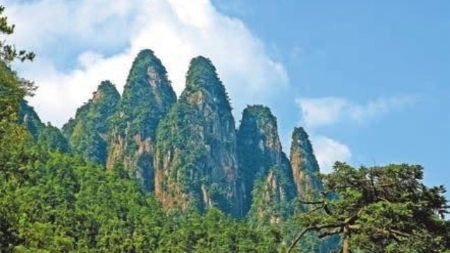 【康養(yǎng)中國】贛州上猶：「氧你」養(yǎng)生 風(fēng)景獨(dú)好