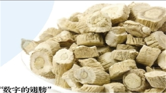 【對接大灣區(qū)?寒地龍藥耀九州】系列報道之四十一 板藍(lán)根托起專業(yè)村