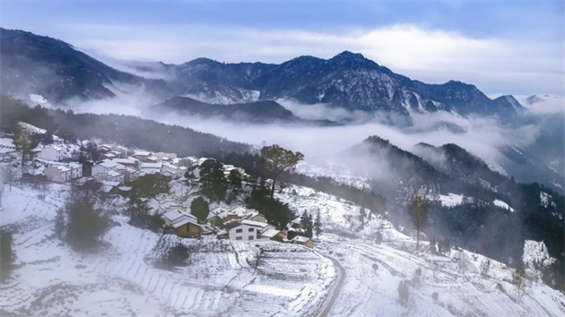 皖休寧縣：書寫產(chǎn)業(yè)振興的「藍(lán)田路徑」