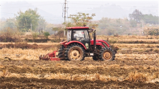 廣東南雄構(gòu)建農(nóng)業(yè)社會(huì)化服務(wù)體系 服務(wù)農(nóng)戶超3萬(wàn)戶