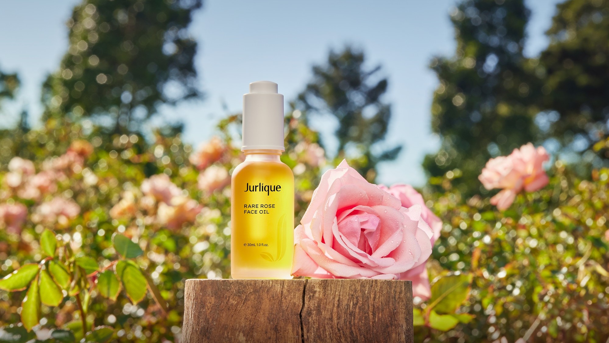 【美容】全新水漾玫瑰光感滋潤(rùn)油 展現(xiàn)光澤水嫩肌