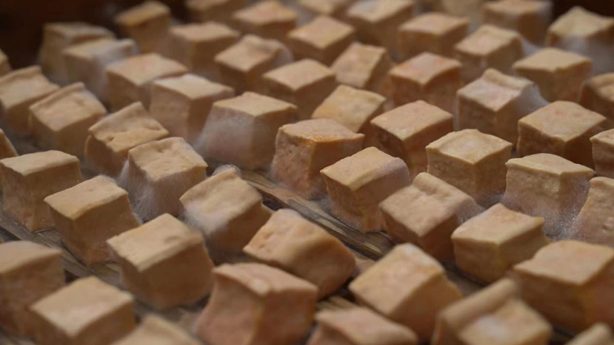 皖黃山區(qū):仙源豆腐添香徽州年味