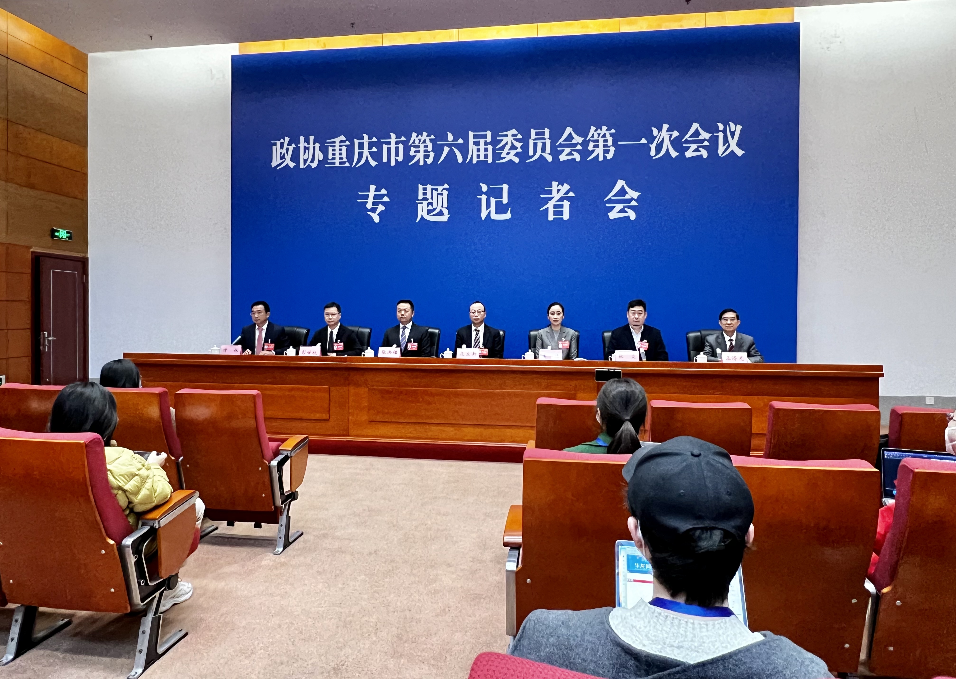 重慶政協(xié)委員獻(xiàn)策建現(xiàn)代化新重慶