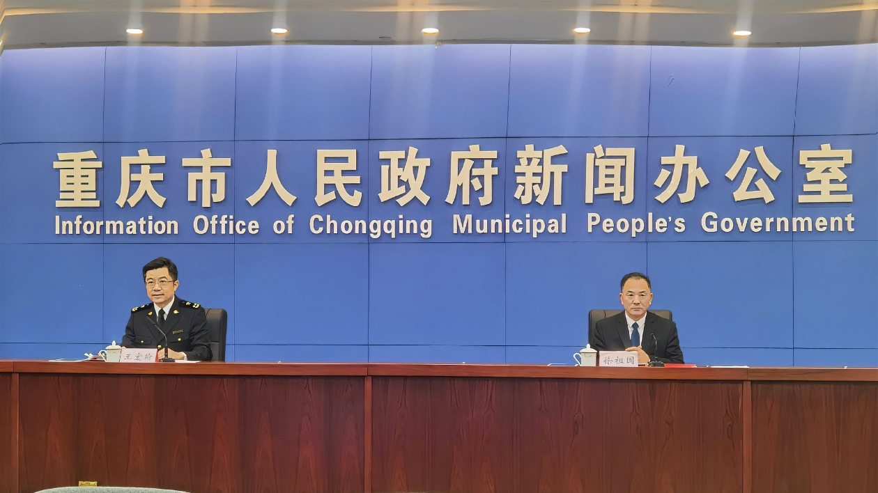 重慶去年進(jìn)出口總值超8158億元