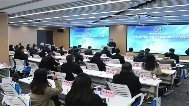 安徽省網絡視聽產業(yè)聯盟在包河成立