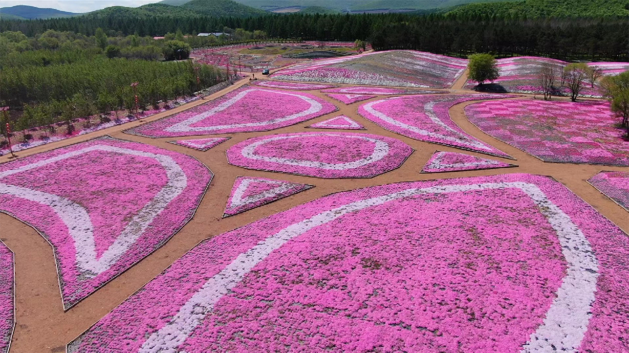 黑龍江寶清：高質(zhì)量繪就新時(shí)代鄉(xiāng)村振興錦繡畫卷