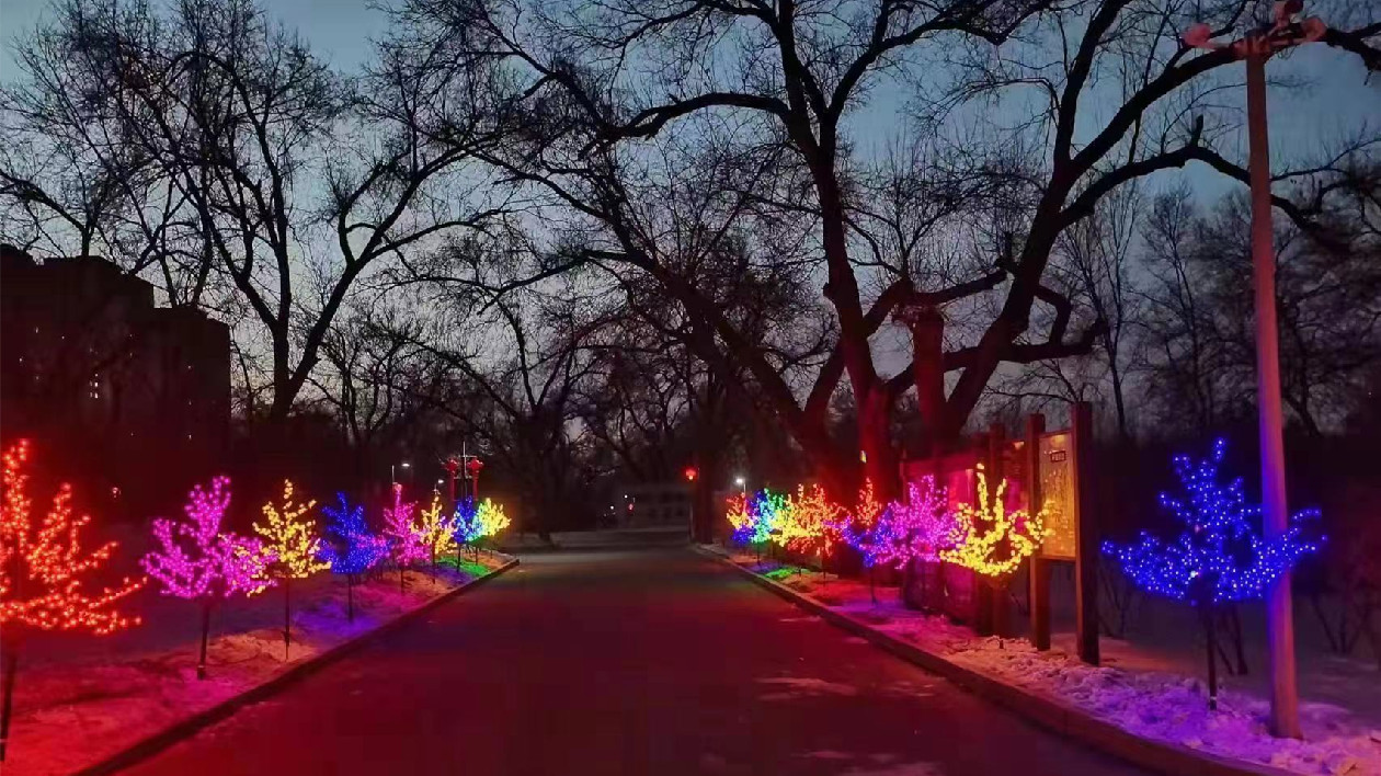 哈市香坊區(qū)園林局營造濃厚節(jié)日氛圍 迎春 掛彩 點燈 懸紅
