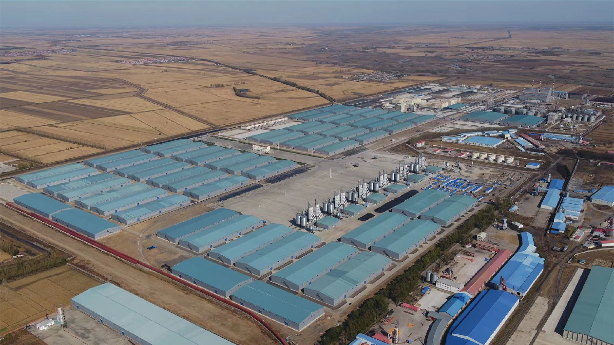 黑龍江寶清縣鄉(xiāng)村振興重點工作獲國務(wù)院督查激勵