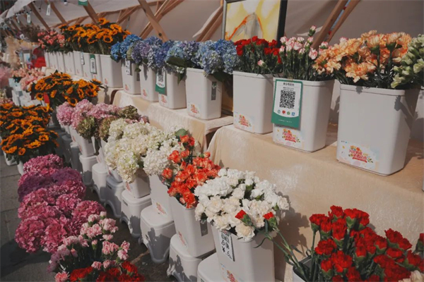 四川天府新區(qū)興隆湖花市開市