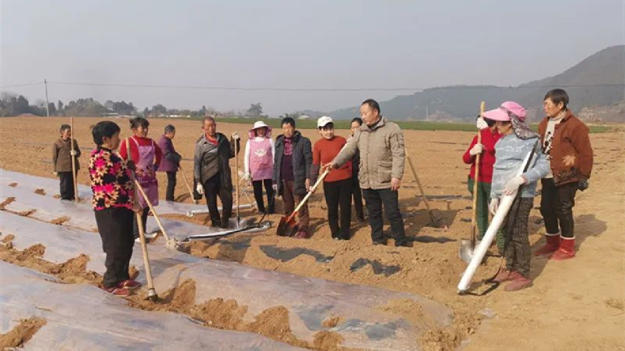 四川鹽亭：確保增產(chǎn)增收 農(nóng)技人員深入基層「尋診把脈」