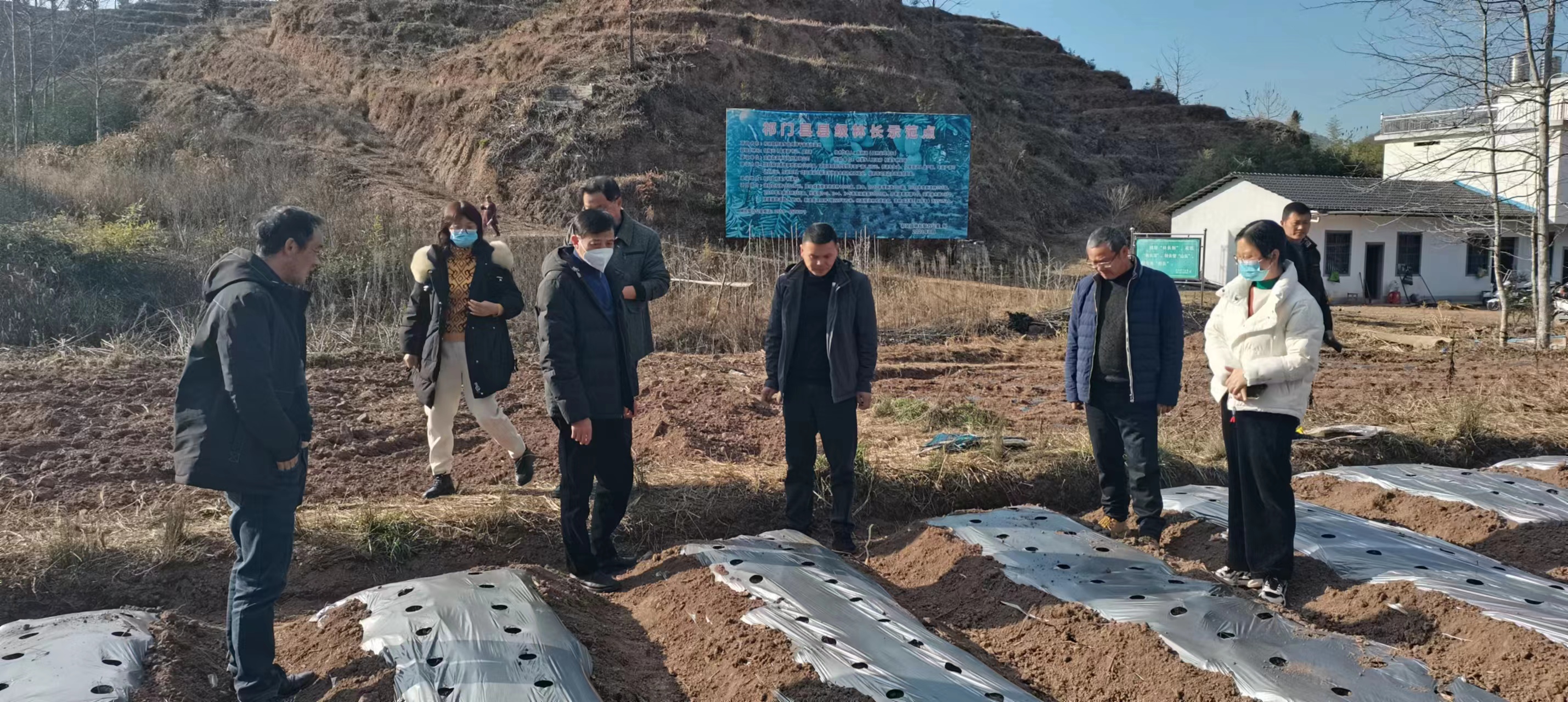 【醫(yī)耀華夏】【康養(yǎng)中國】「生態(tài)王國御醫(yī)之鄉(xiāng)」  皖祁門中醫(yī)藥康養(yǎng)產(chǎn)業(yè)勃興