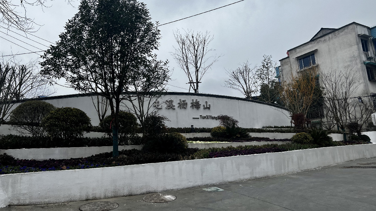 續(xù)增民生福祉  皖屯溪區(qū)城市品質(zhì)提升成效顯