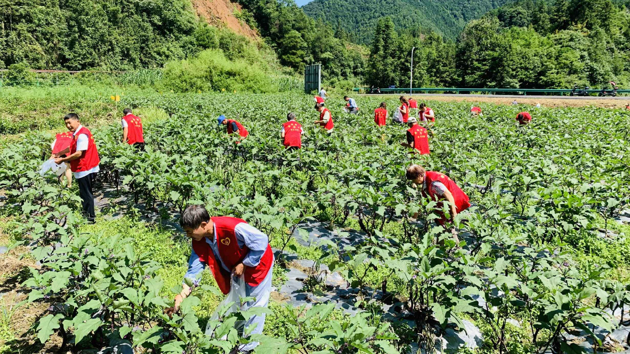 創(chuàng)新「星和合」模式    皖黟縣洪星鄉(xiāng)村治理呈現(xiàn)新活力