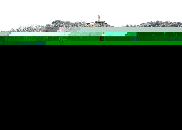 從春天出發(fā) 魯甘攜手促文旅「雙向奔赴」