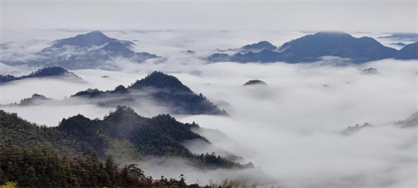 皖黃山區(qū)：龍王山雲(yún)海美如畫