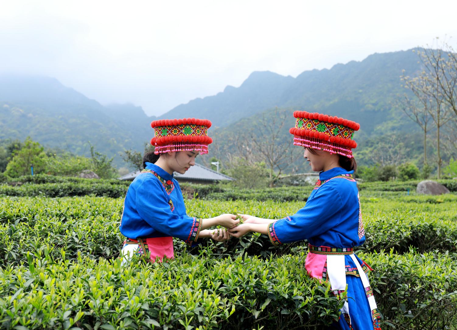 三產(chǎn)融合推進(jìn)韶關(guān)鄉(xiāng)村產(chǎn)業(yè)高質(zhì)量發(fā)展