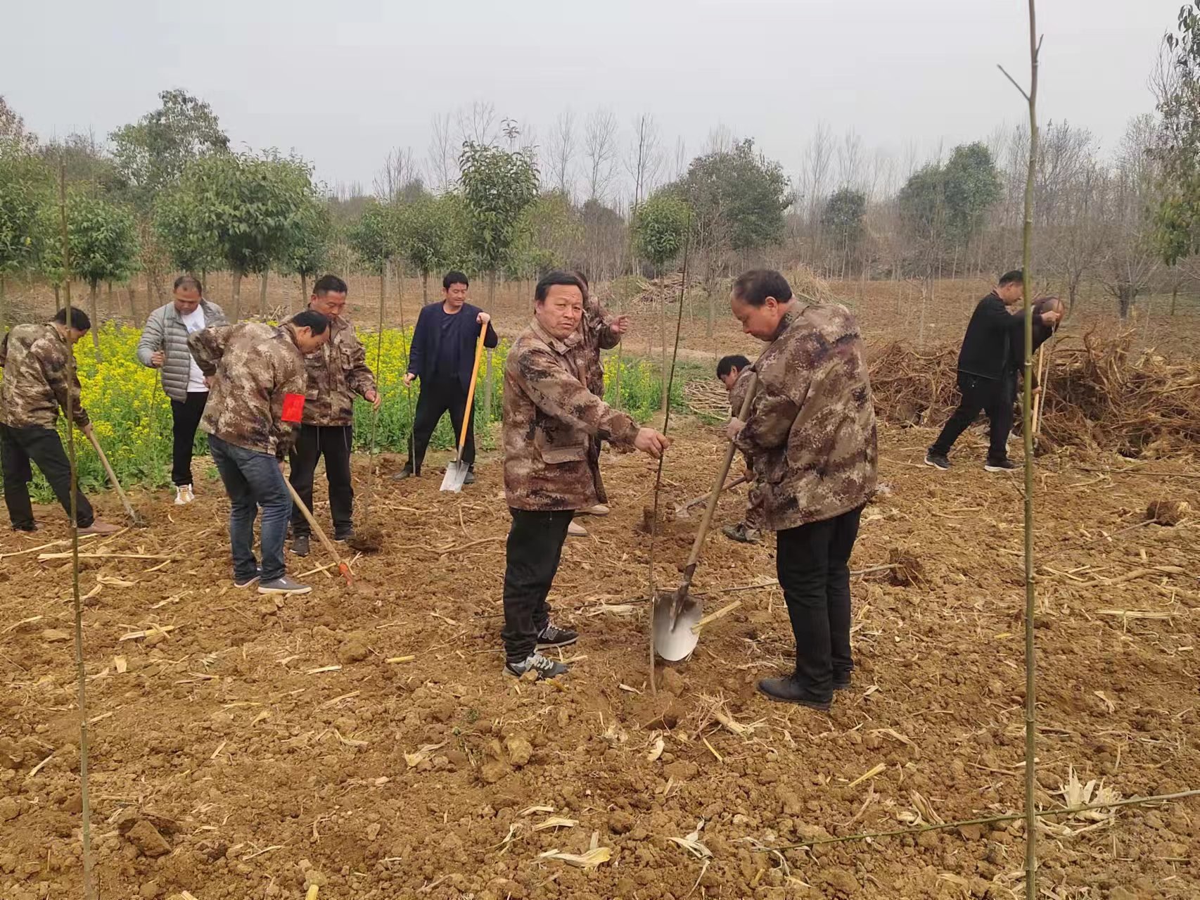 河南南召：人勤春來(lái)早 田園農(nóng)耕忙