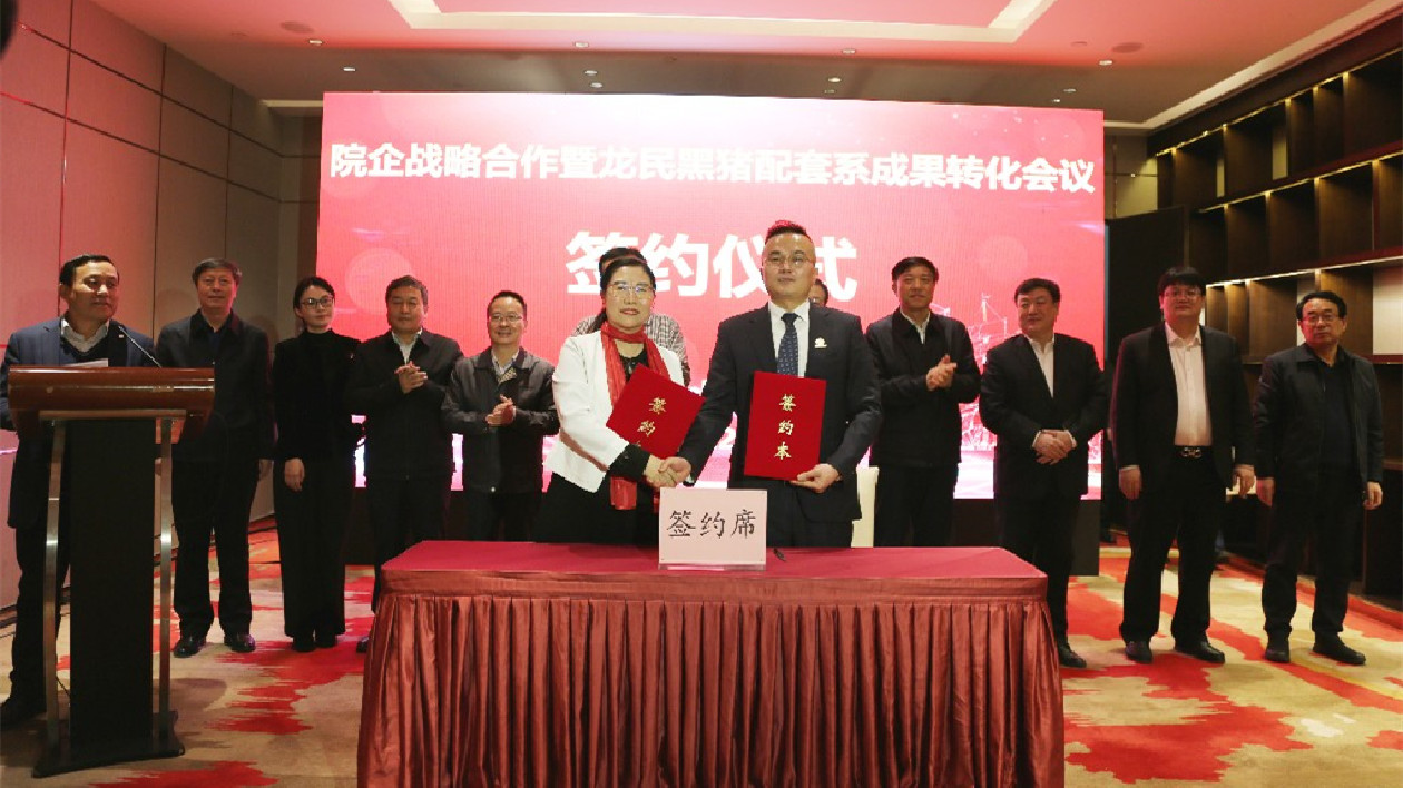 黑龍江：院企合作 千萬資金助龍江民豬種業(yè)晶片科技成果轉(zhuǎn)化落地