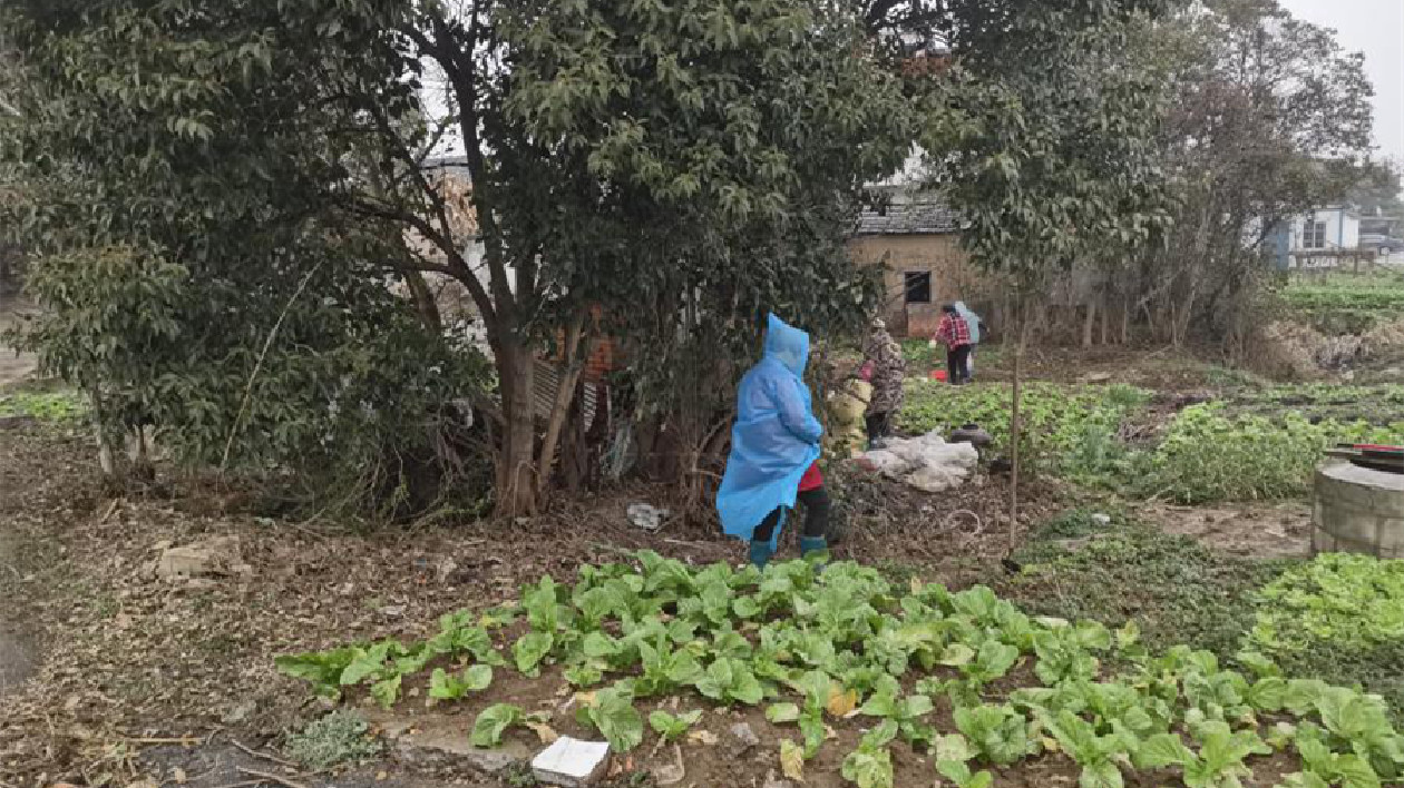 安徽巢湖經(jīng)開區(qū)：積極開展農(nóng)村環(huán)境集中治理