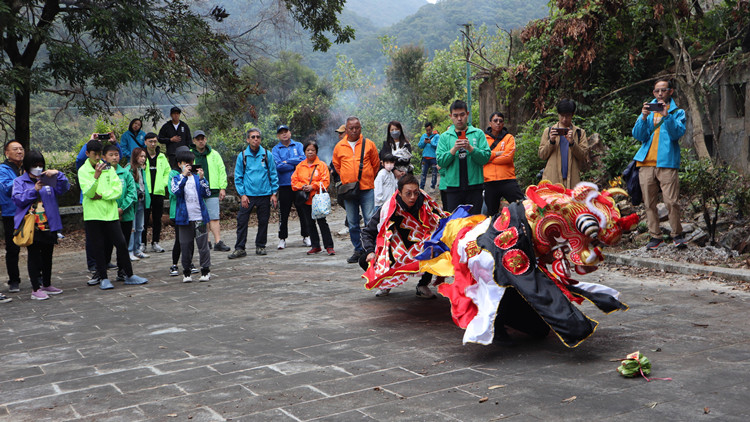 榕樹凹麒麟闊別半世紀(jì)回歸